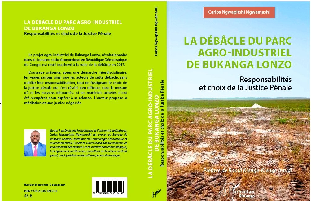Couverture du livre La débâcle du parc agro-industriel de Bukanga Lonzo